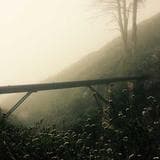 Smart Analytics & Reports